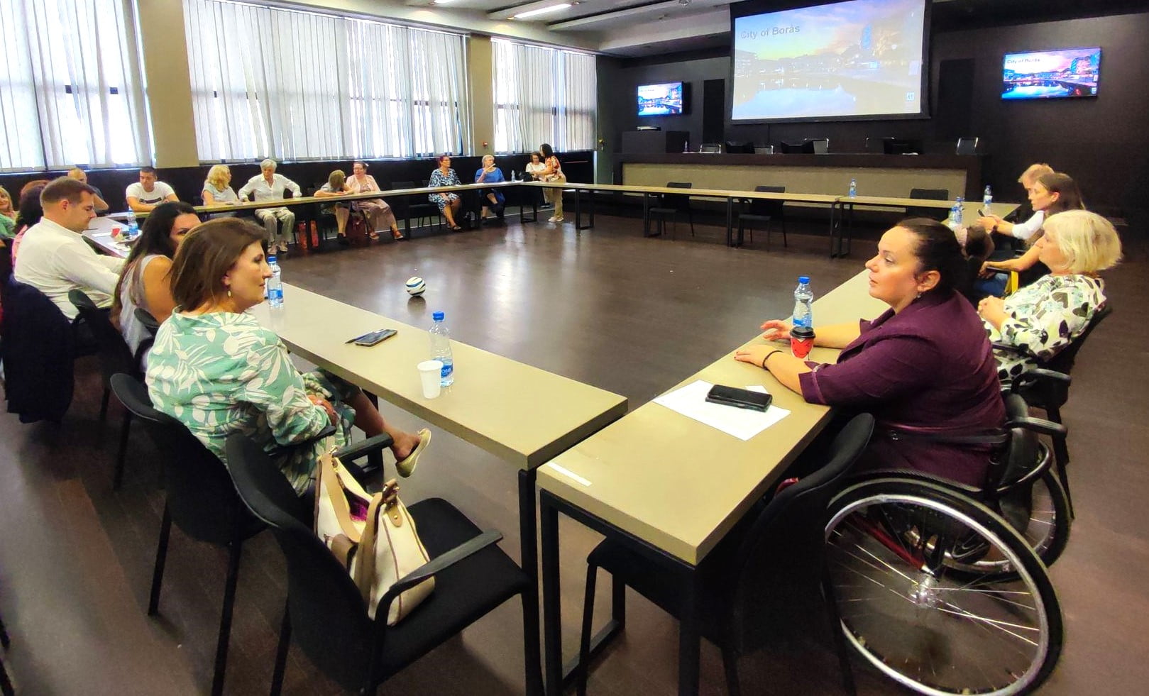 Collaborative efforts in Borås and Vračar for Disability Inclusion