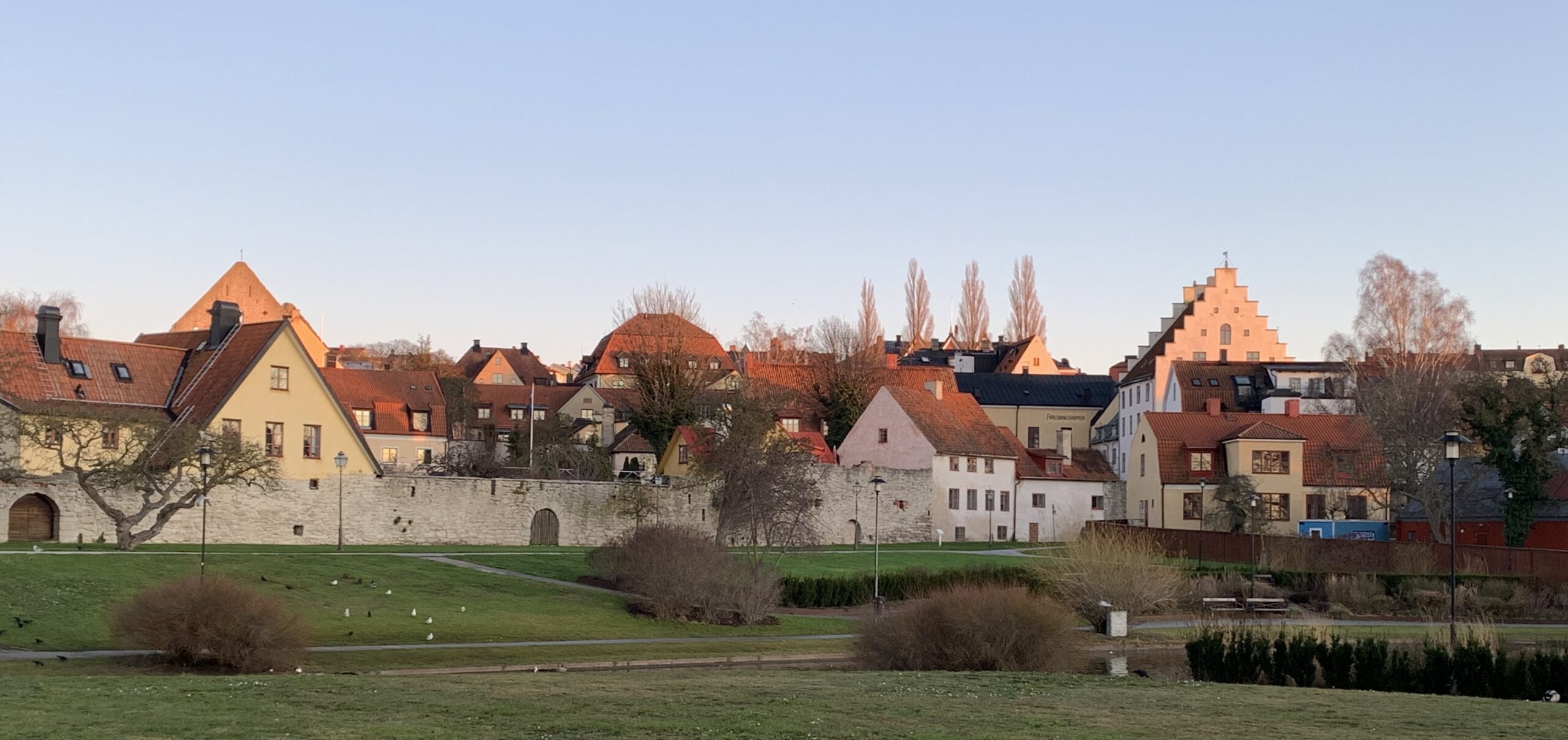 bild av Almedalen i Visby