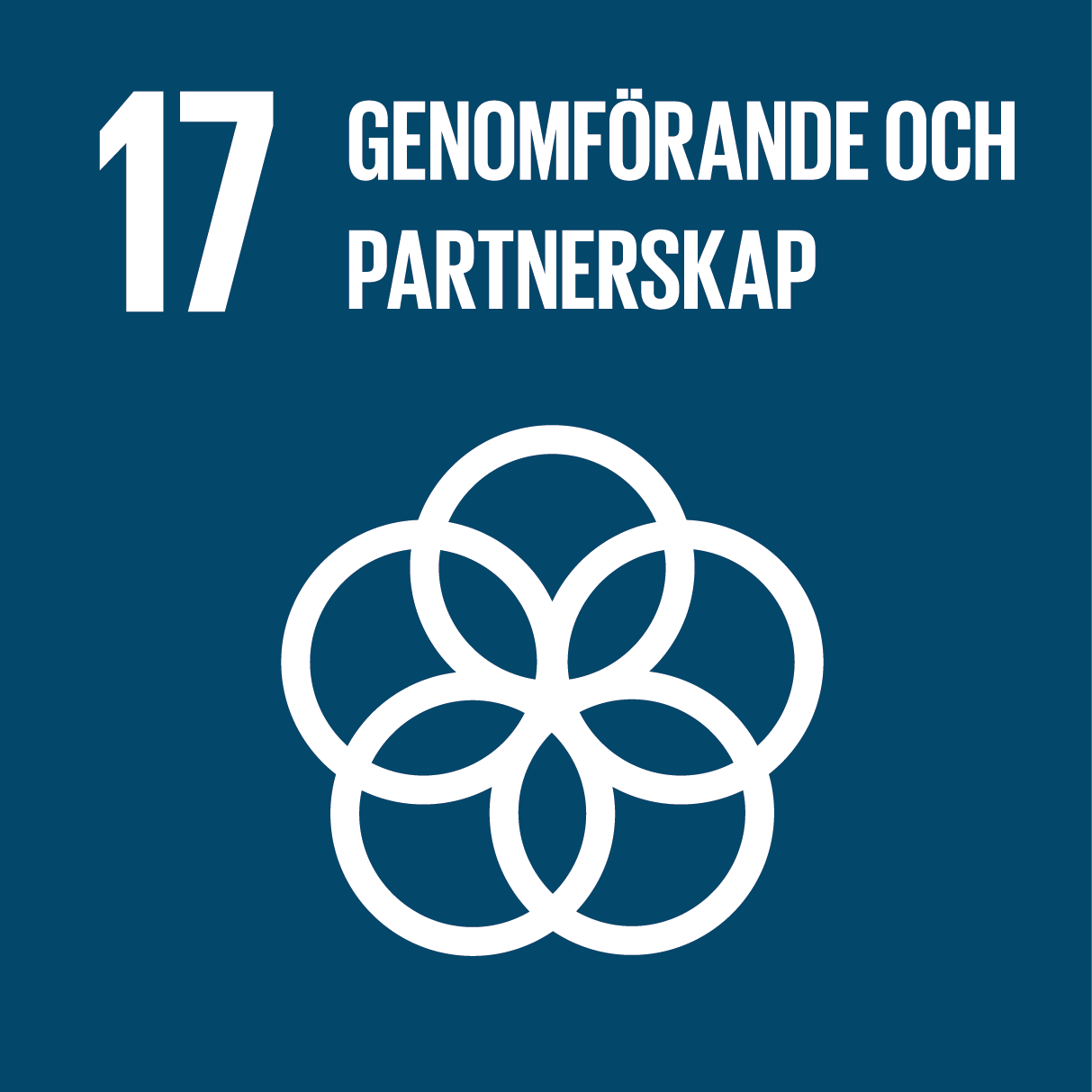 Globala målet 17