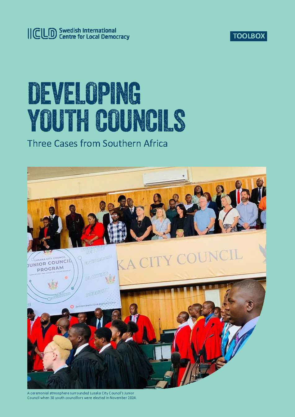 Developing Youth Councils