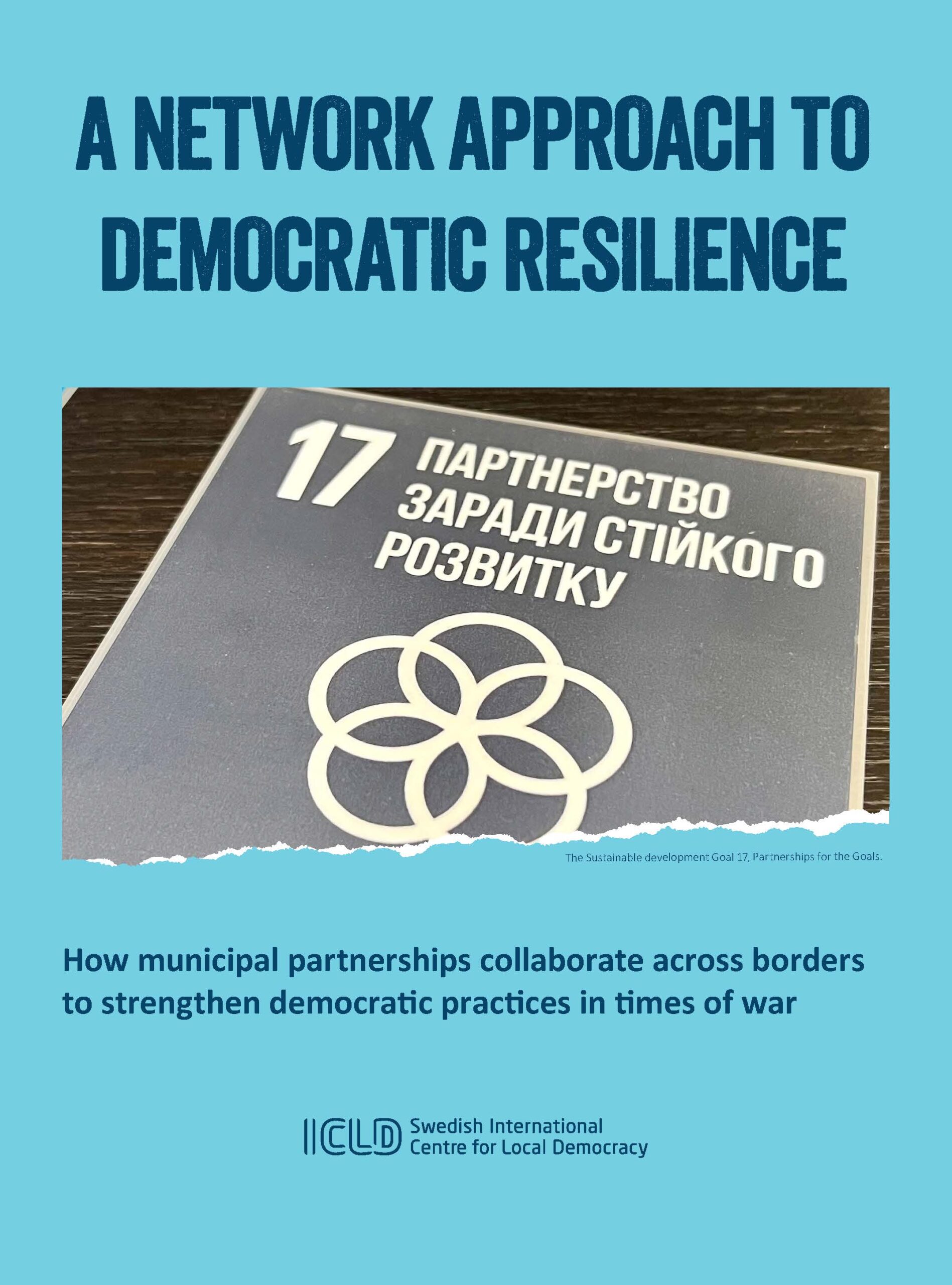 A Network Approach to Democratic Resilience